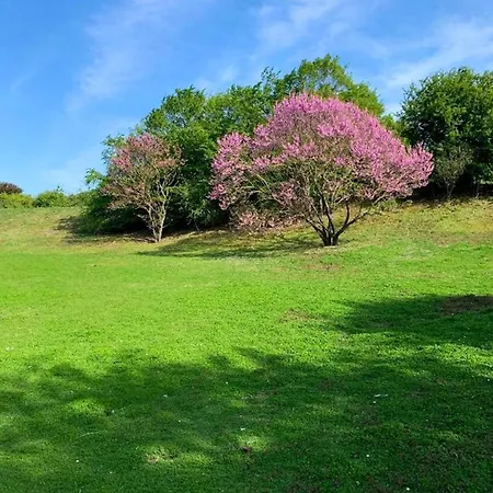 Casa vacanze Maison Accueillante à Avec Jardin Clôturé La Courneuve